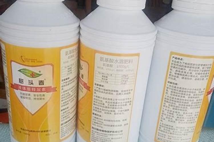 沙糖桔打什么药水快红