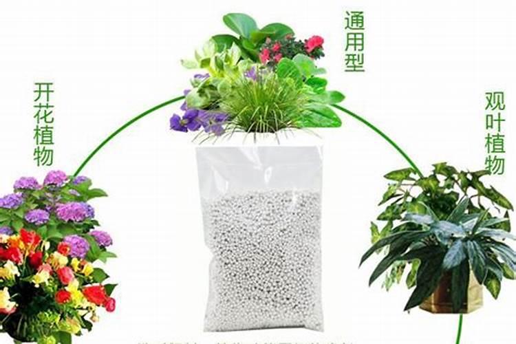 种花肥料,可以种菜吗