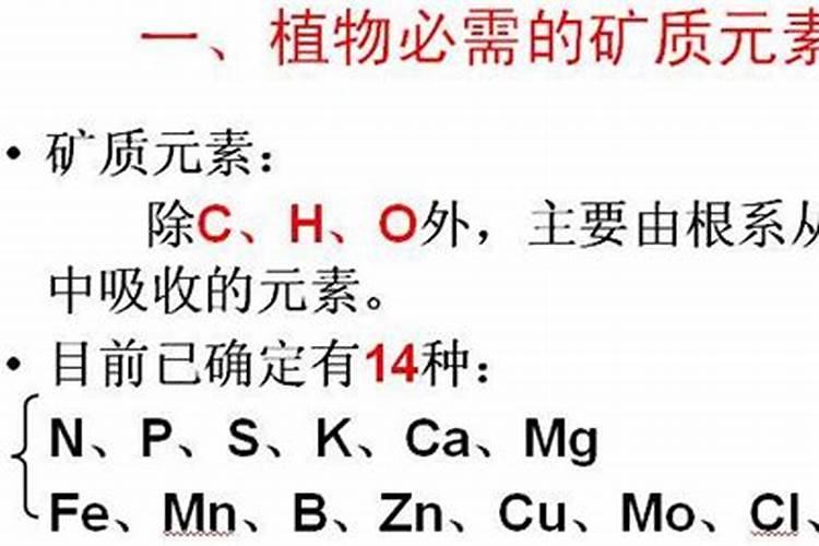 罗汉松叶子发黄喷什么药
