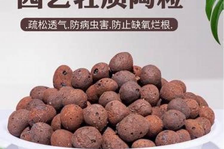 水溶肥十大名牌