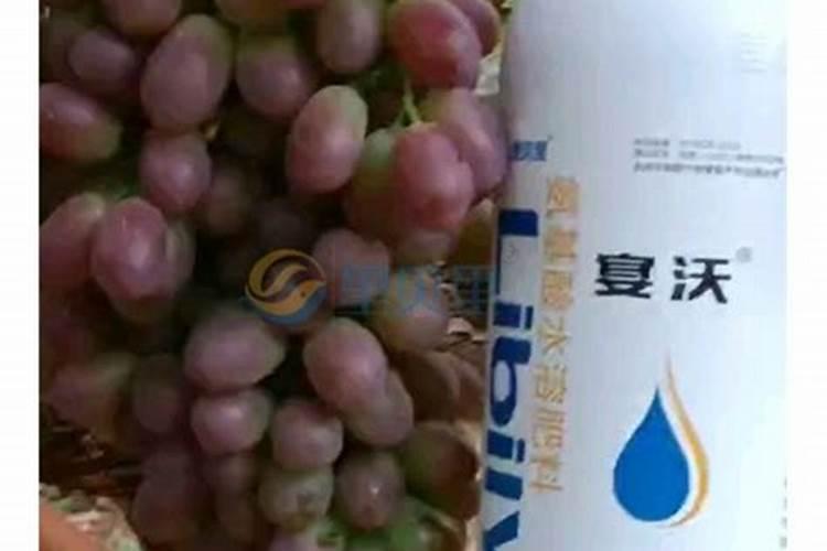 喷施叶面肥会产生肥害吗？