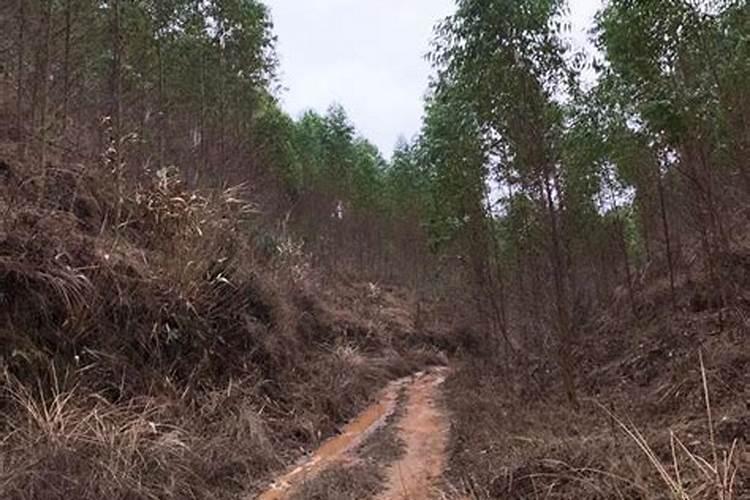 种植油菜籽每亩需要上多少肥料？