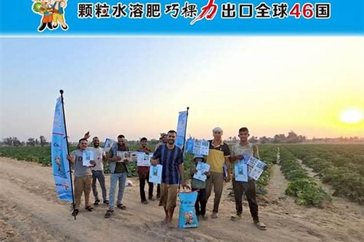 金弹子冬天怎样浇水？