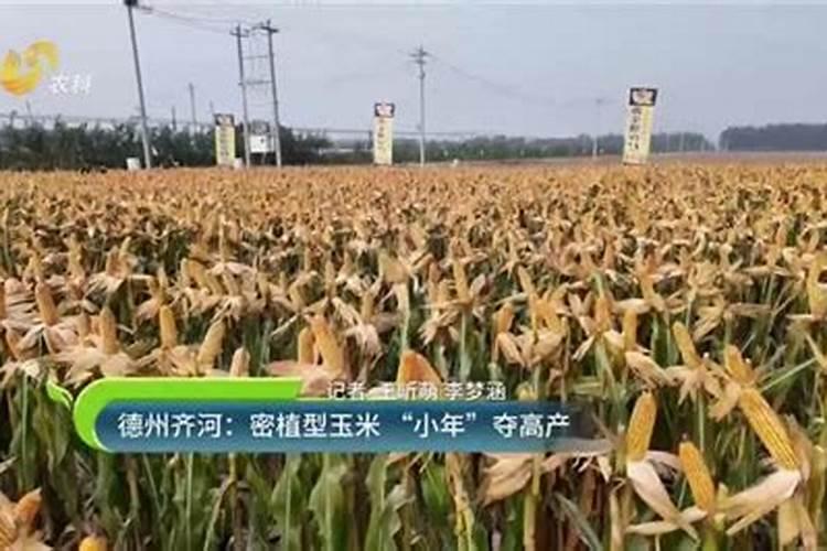 为什么磷的供给缺乏是农业发展的重要障碍