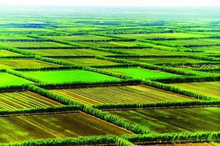 磷矿会越来越贵吗