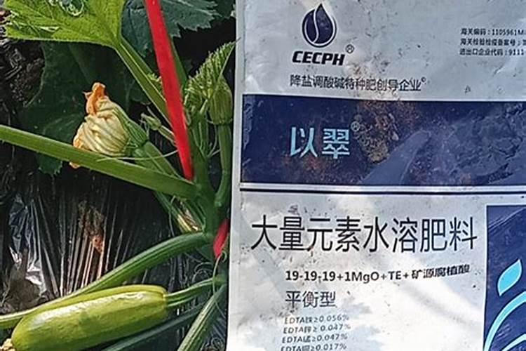 西葫芦2叶时冲什么肥料好