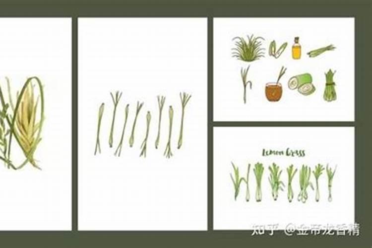 蔬菜微肥木醋液哪家好