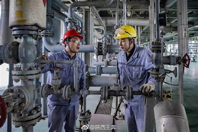 陕西兴平化肥厂每年什么时候招聘毕业大学生？