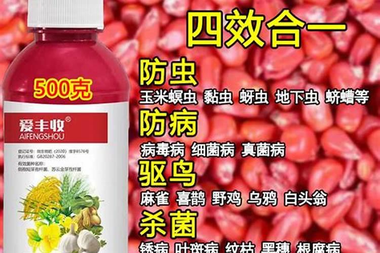 玉米喷施叶面肥效果怎么样