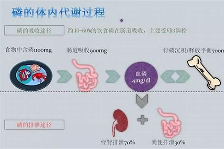 这个微生物菌剂,解磷效果超级棒
