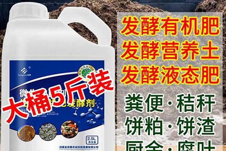 草莓树苗多久浇水 草莓树苗如何浇水最合适？