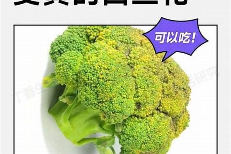 氮肥是什么肥料