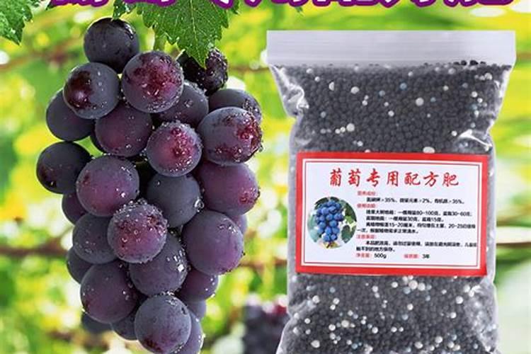 想要种植优质豆角,应该如何做好水肥管理呢？