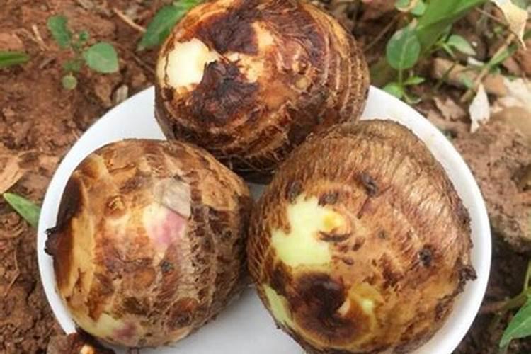 种洋芋用什么肥料好