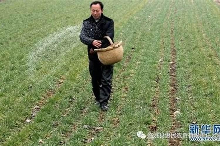 海伦市大豆购销企业有哪些