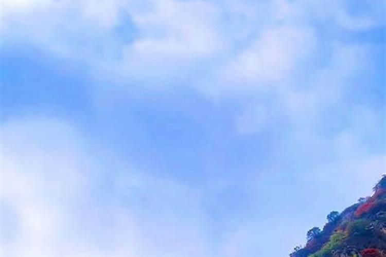 如何施用叶面肥