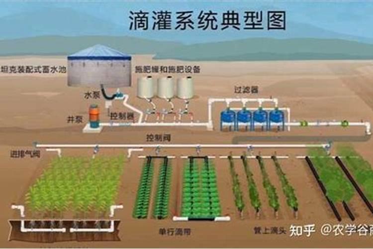 控释肥是什么意思 控释肥和缓释肥的区别