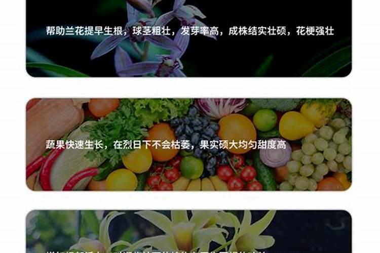 兰花花肥用什么合适,肥料制作与使用方法