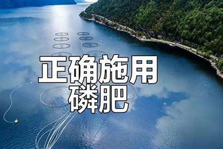 磷肥一亩地施多少