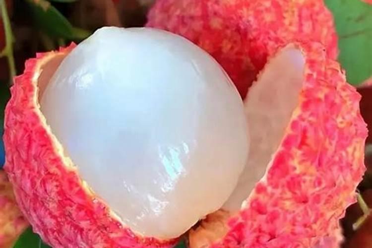 荔枝施什么肥料最好