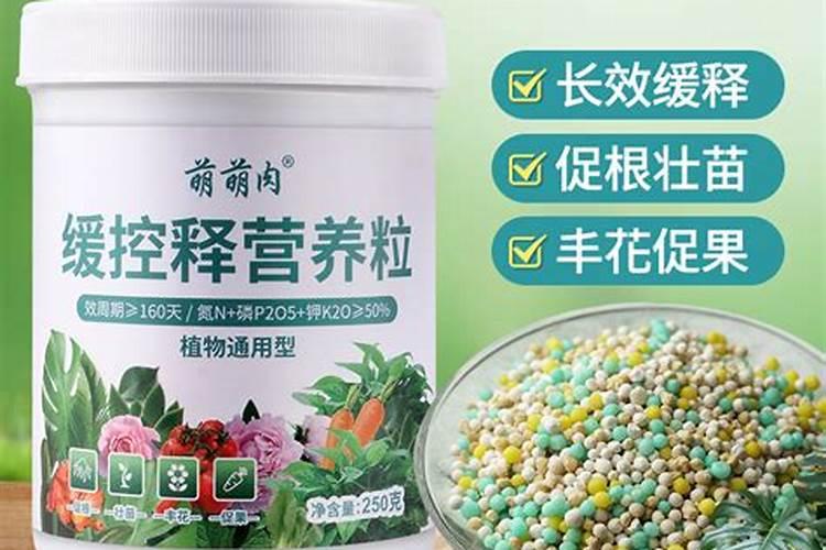 复合肥养花多久施一次 最佳复合肥养花施肥时间是多久？