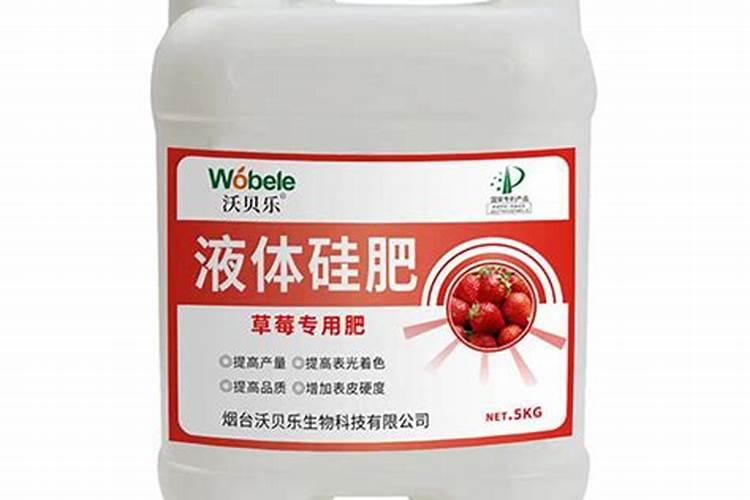 硅肥对草莓喷好还是灌根好
