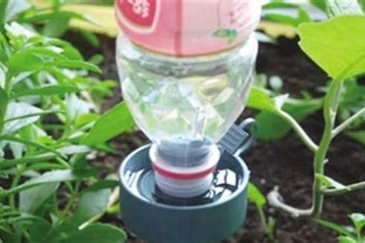 在养花时如何使用磷肥 养殖花使用磷肥的方法