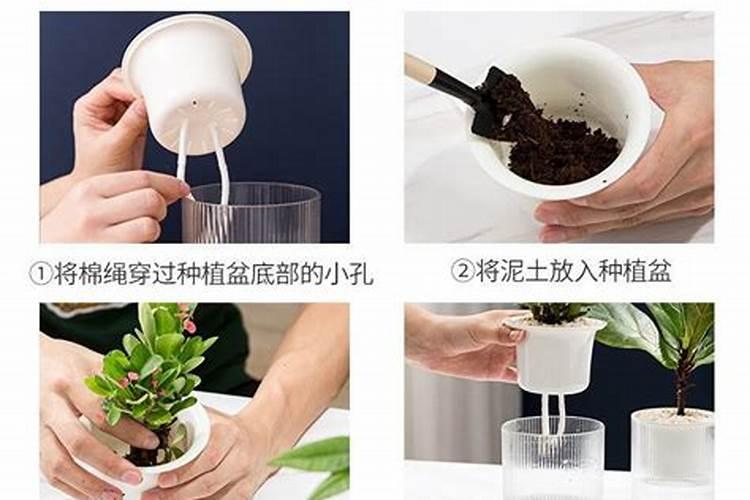 氮肥养花一克用多少水兑