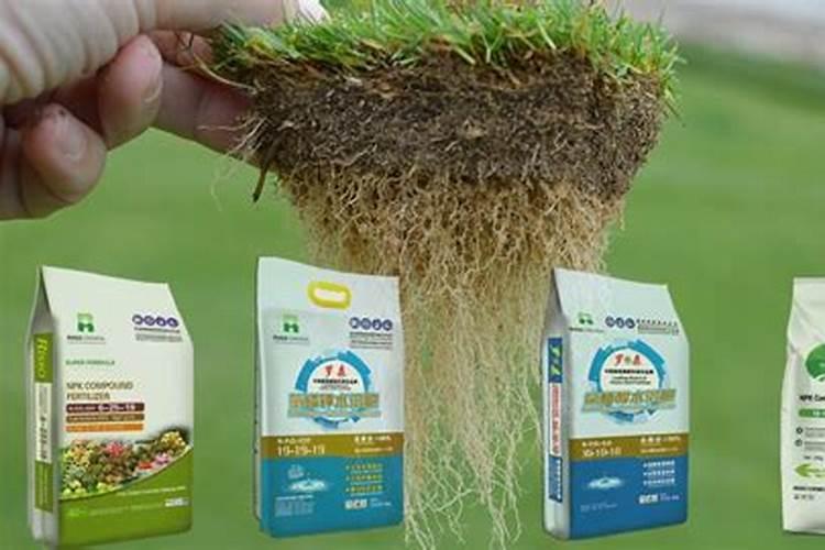 绿宝施什么肥最好