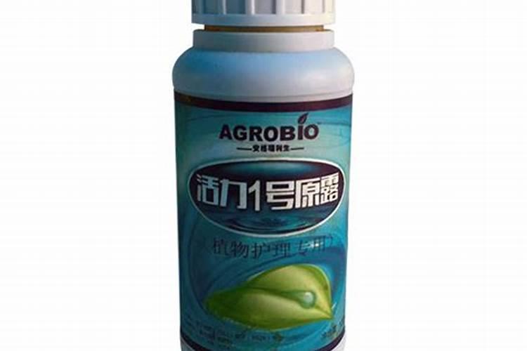 都江堰红心猕猴桃和依顿一号红心猕猴桃怎么样