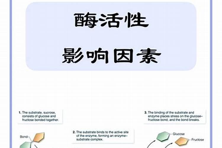 影响可溶性食用鱼蛋白的产量有哪些因素呢？