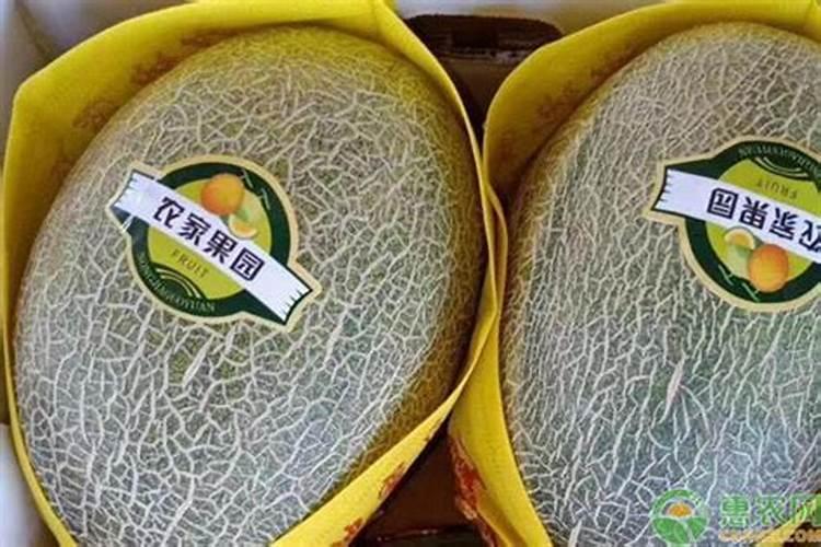 柑橘结果期上什么肥料好？柑橘挂果期用哪些肥料好？