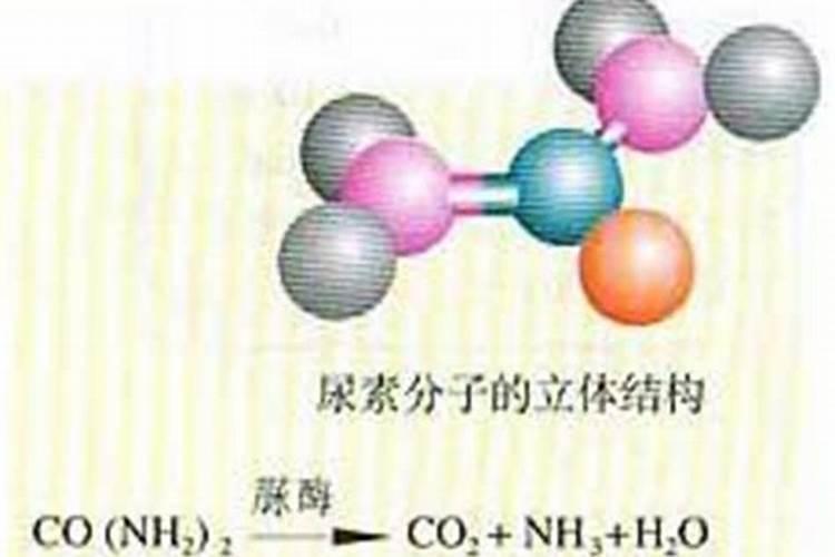 尿素化肥是酸性还是碱性的 尿素肥料对人体有害吗