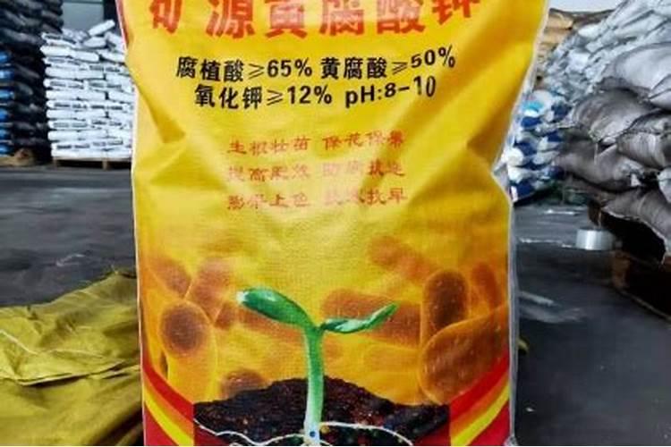 我刚从事于白菜种植产业,请问如何提高白菜的质量？