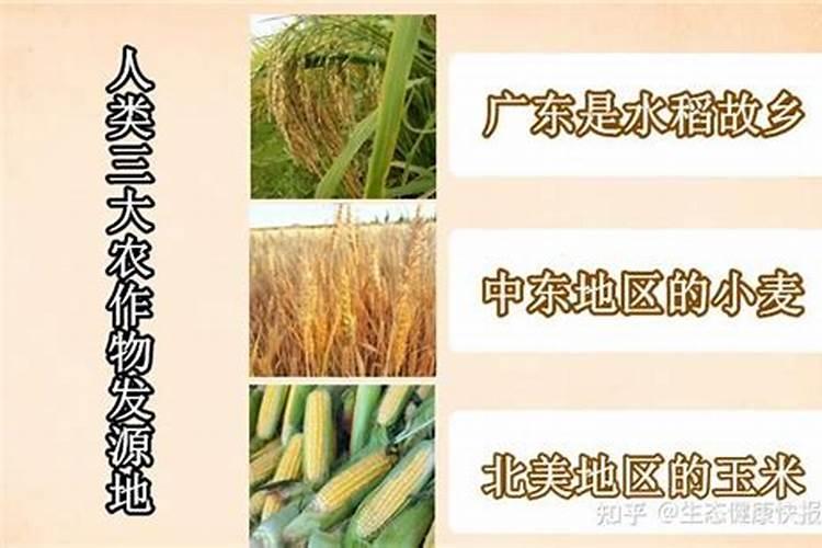 水产养殖当中池塘氨氮为何超标,氮是从哪来的？