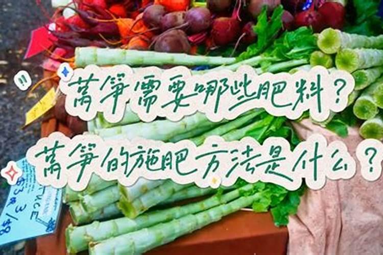 种植莴苣须知,哪些化肥有利于蔬菜长茎干呢？