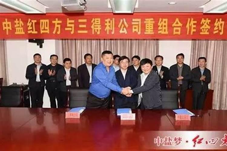 中盐集团新建项目