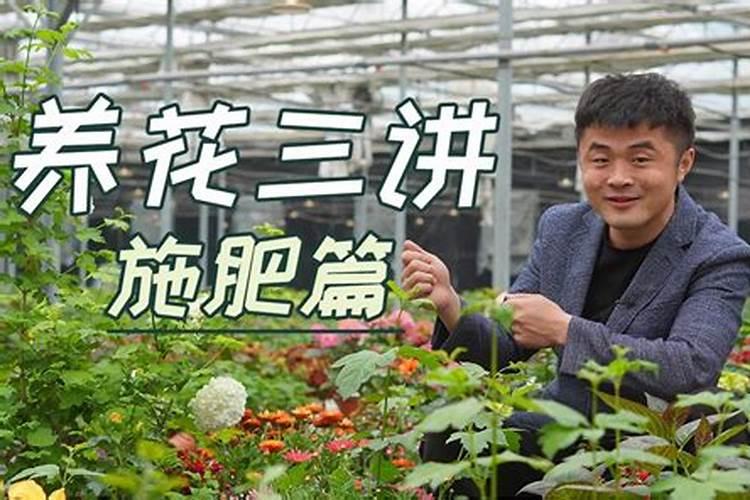 钙肥最佳施肥时间 施钙肥哪时候最合适