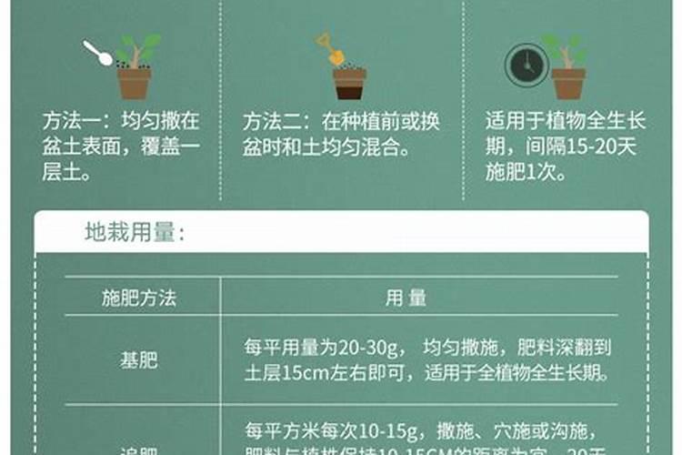 盆栽桃花的养护方法