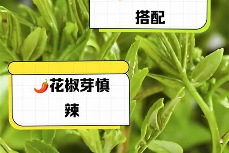 花椒树秋季施肥啥化肥最好？