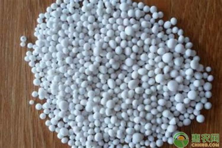 种玉米最忌三种肥料