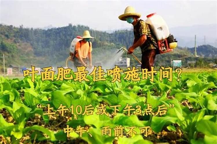 海藻精可以和高钾肥混用吗