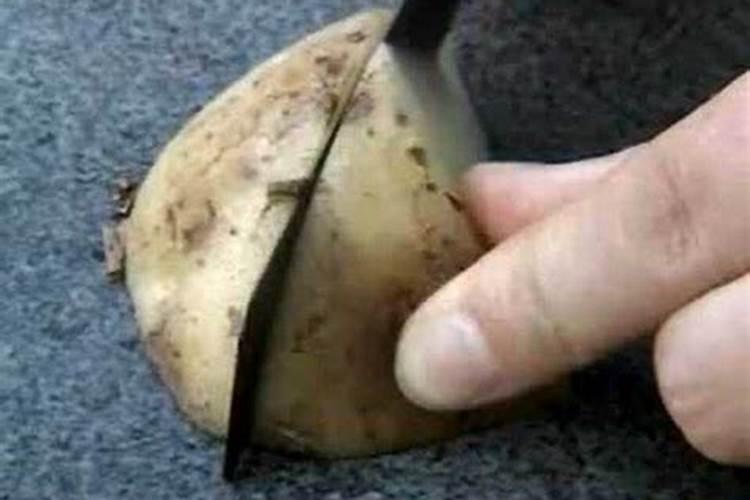 钾肥最佳施用方法