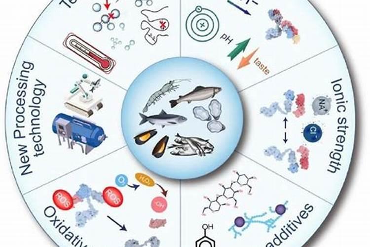 鱼蛋白自制配方