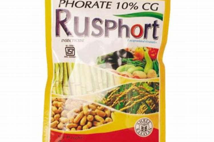 甲拌磷的作用与用途