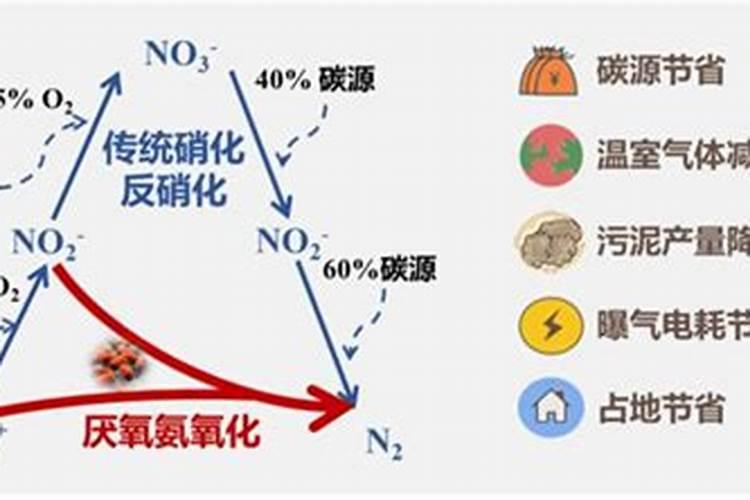 高磷水溶肥的主要作用