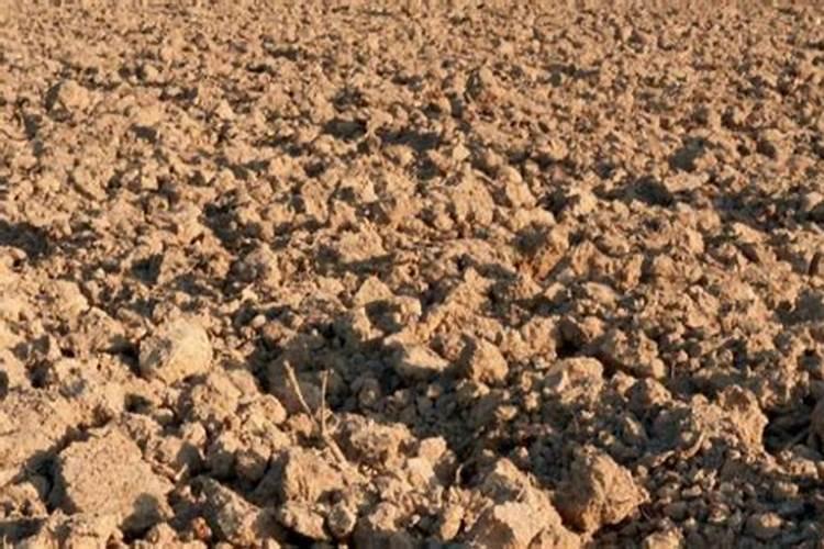 氮肥施用有哪些禁忌