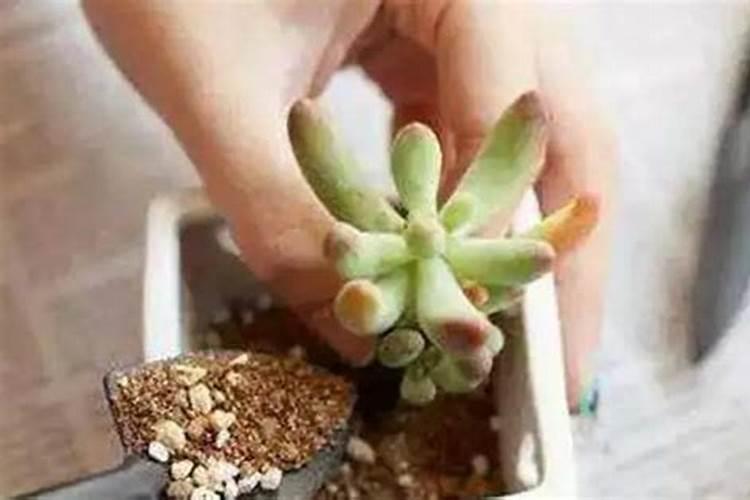 黄腐酸钾的使用方法