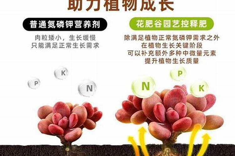 控释肥与复合肥的区别