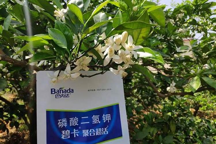 冬季化肥会挥发吗？冬季如何储存化肥？